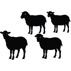 set of sheep collection of silhouettes of black vector