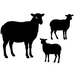set of sheep collection of silhouettes of black vector