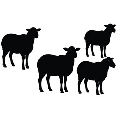 set of sheep collection of silhouettes of black vector