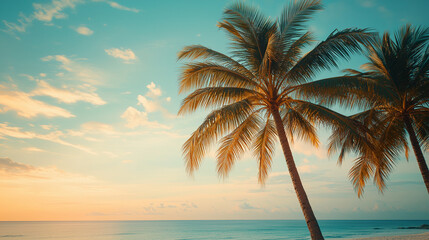Fototapeta premium Coconut tree at the beach in summer trip, Holiday and vacation trip at the beach in summer with cozy and shady vibe.