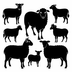 set of sheep collection of silhouettes of black vector