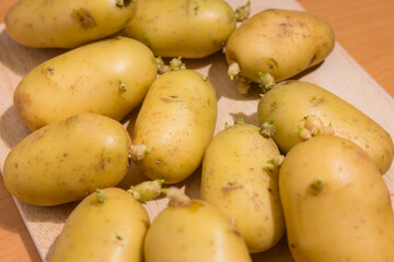 Fresh raw potatoes with new green sprouts