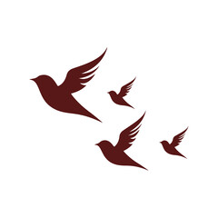 A flock flying birds
