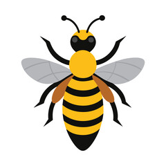 bee isolated vector art design 
