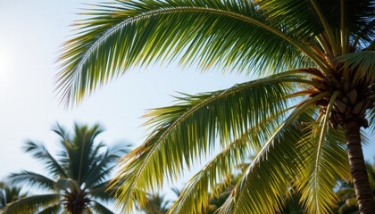 Fototapeta premium A gentle breeze rustling through the palm trees, offering a welcome respite from the heat of the sun.