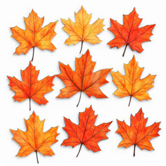 Obraz premium autumn maple leaves isolated on transparent background png 