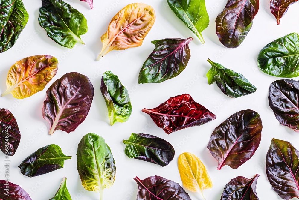 Aufkleber creative food pattern with colorful chard leaves on white background