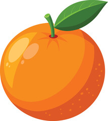 orange fruit vector illustration
