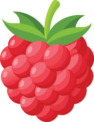 Vector illustration of ripe raspberries on a vine with leaves and grapes