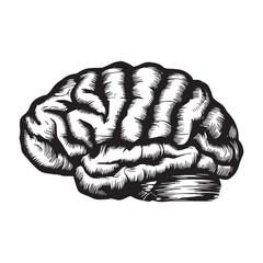 Brain Graphic Illustration - A vector sketch n illustration of a Brain Black Icon 