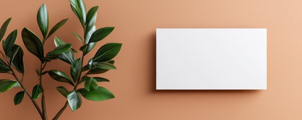 Fototapeta premium Decorative plant arrangement minimalist interior photo earthy tones close-up tranquil vibes