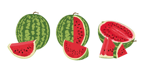 Set with watermelon slices. Watermelon slices hand drawn.	Whole watermelon with a piece in the foreground
