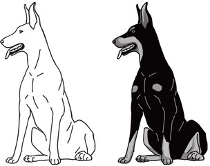 ドーベルマン　dorberman　犬のイラスト塗り絵