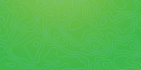 abstract green background with topography  lines background.