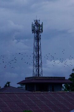 cell phone tower