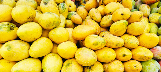 A pile of delicious ripe mangoes open sell in Indian market.