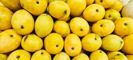 A pile of delicious ripe mangoes open sell in Indian market.