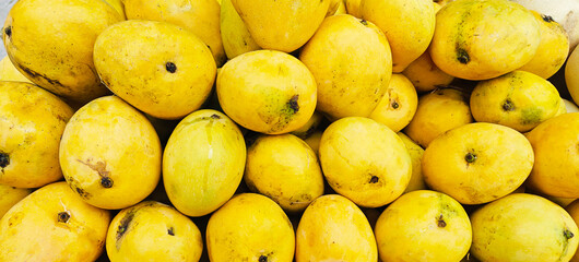 A pile of delicious ripe mangoes open sell in Indian market.
