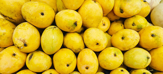 A pile of delicious ripe mangoes open sell in Indian market.