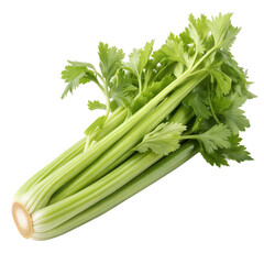 Fresh Green Celery Stalks with Leaves Isolated on Black Backdrop Healthy Diet Food