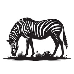Obraz premium Black Color Quagga Silhouette Vector Illustration, Solid White Background
