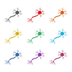 Neuron Anatomy simple icon isolated on white background. Set icons colorful