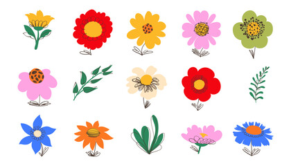 Floral Set of Hand Drawn Herbs in Doodle Style. Colorful flowers and foliage with cute line sketches of branches isolated on white background. Collection of nature plants perfect for invitations