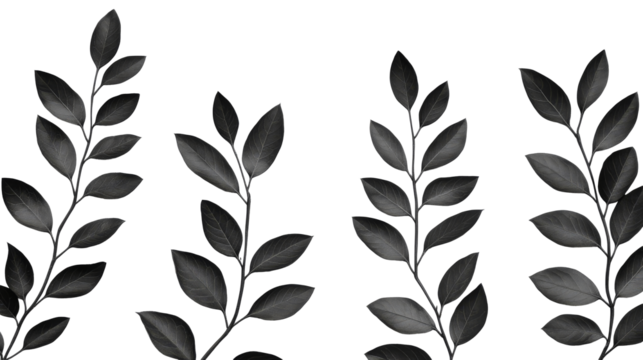 Delicate plant foliage stems, isolated decor element, cut out transparent