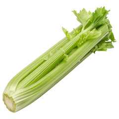 Fresh green celery stalk showcasing its vibrant leaves and crisp texture against a dark background.