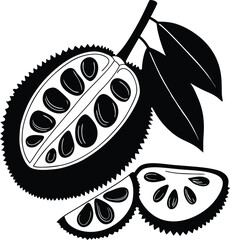 vector illustration of an Jackfruit