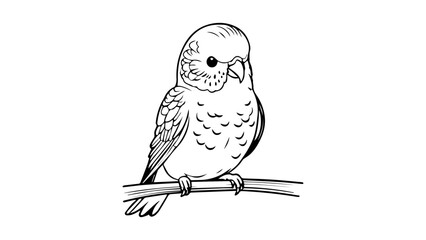 parrot illustration vector shape silhouette, parrot shape vector illustration