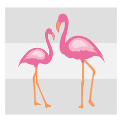 Flamingo, SVG Bundle, Bird Svg, Pink Flamingo Svg, Circut Cut Files Silhouette, Animals Svg, Summer Svg, Flamingo Silhouette, Flamingo Clipart, Vcetor, Outline, Eps, Cut file, Flower Outline,
