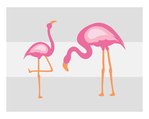 Flamingo, SVG Bundle, Bird Svg, Pink Flamingo Svg, Circut Cut Files Silhouette, Animals Svg, Summer Svg, Flamingo Silhouette, Flamingo Clipart, Vcetor, Outline, Eps, Cut file, Flower Outline,
