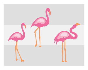 Flamingo, SVG Bundle, Bird Svg, Pink Flamingo Svg, Circut Cut Files Silhouette, Animals Svg, Summer Svg, Flamingo Silhouette, Flamingo Clipart, Vcetor, Outline, Eps, Cut file, Flower Outline,
