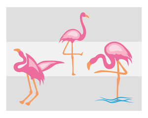 Flamingo, SVG Bundle, Bird Svg, Pink Flamingo Svg, Circut Cut Files Silhouette, Animals Svg, Summer Svg, Flamingo Silhouette, Flamingo Clipart, Vcetor, Outline, Eps, Cut file, Flower Outline,
