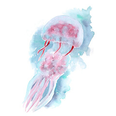 Wildlife of the seas and oceans, jellyfish painted with watercolor