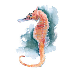 Wildlife of the seas and oceans, seahorse painted with watercolor