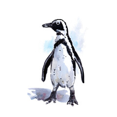 Wildlife of the seas and oceans, penguin painted with watercolors