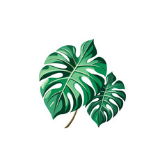 Green leaf and palm tree isolated on white background with nature elements