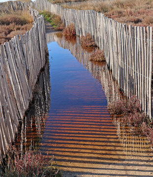 inondation entre les clotures de dune