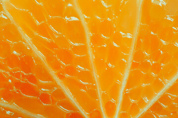Macro orange texture,Slice of citrus fruit with backlit, abstract macro photography sicilian blood...