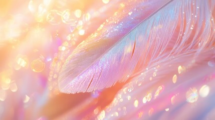 Close up of a iridescent feather with soft glowing light