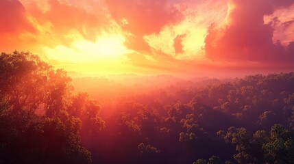 Naklejka premium A beautiful sunset over a vast forest, with the treetops glowing in shades of orange and pink.