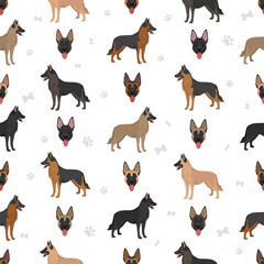 German Malinois clipart. German Shepherd - Belgian Malinois mix. All possible coat colors, breed information, adults and puppies.  Vector illustration