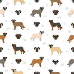 Obraz premium German Shepherd Mastiff clipart. German Shepherd - English Mastiff mix. All possible coat colors, breed information, adults and puppies. Vector illustration