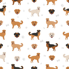 Golden Shepherd clipart. Golden retriever German Shepherd mix. Different coat colors set.  Vector illustration