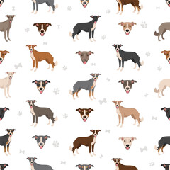 Lurcher mix clipart. Sighthound Collie mix. All possible coat colors, breed information, adults and puppies.  Vector illustration
