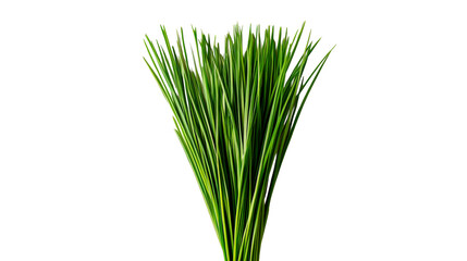 Fresh Green Grass, Background Isolated Design Element, cut out transparent
