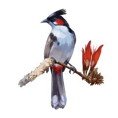 Tropical exotic bird sitting on a flower.