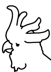 hand drawn vector illustration of an eagle